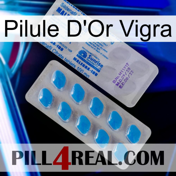 Vigra Gold Pill new15.jpg